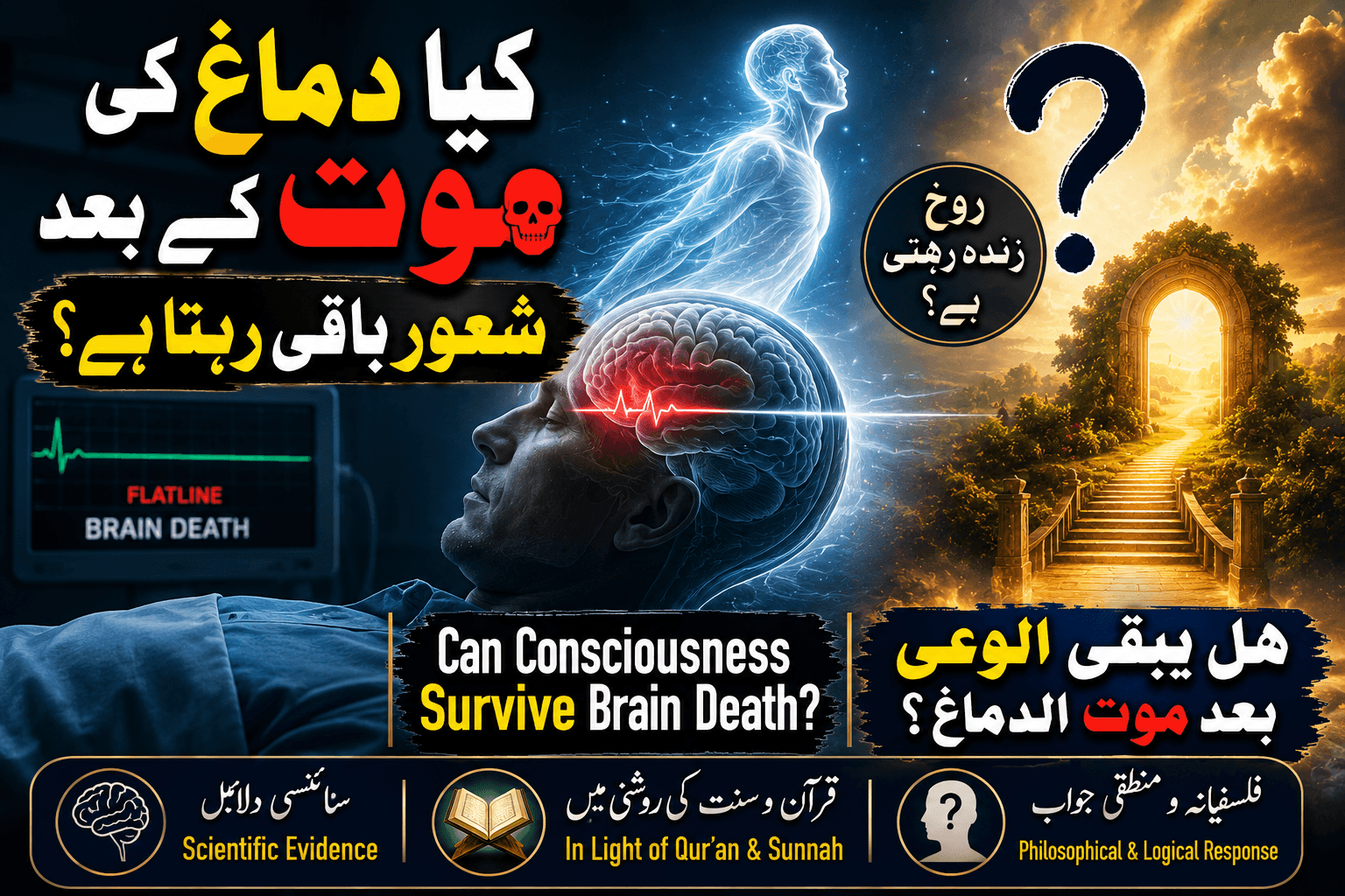 Can Consciousness Survive Brain Death?